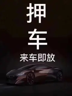 泉州押车贷款哪家额度高