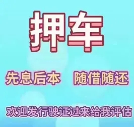 泉州压绿本贷款哪个平台好